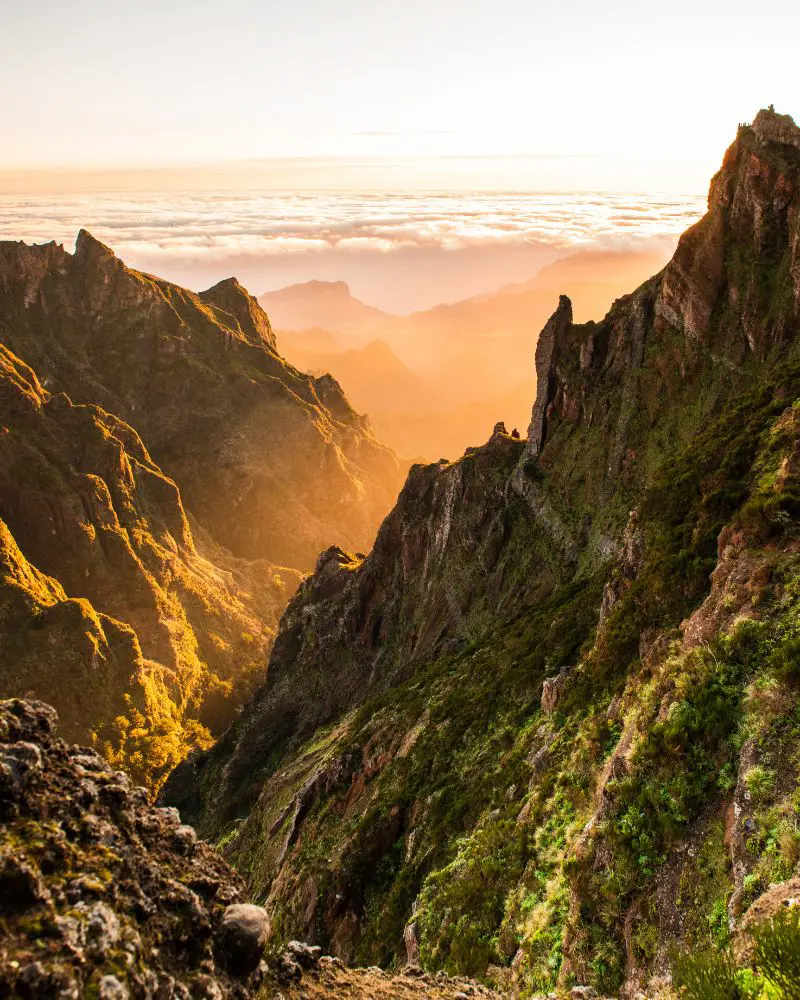 Encantos de Madeira