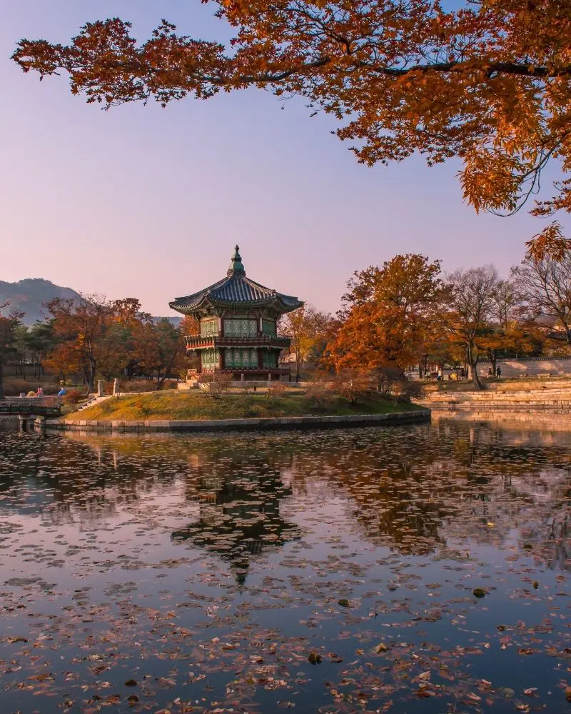 Japón y Corea para todos