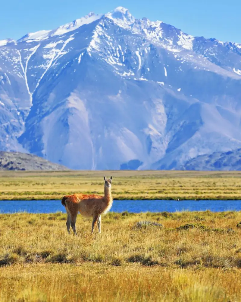 Postales Argentinas